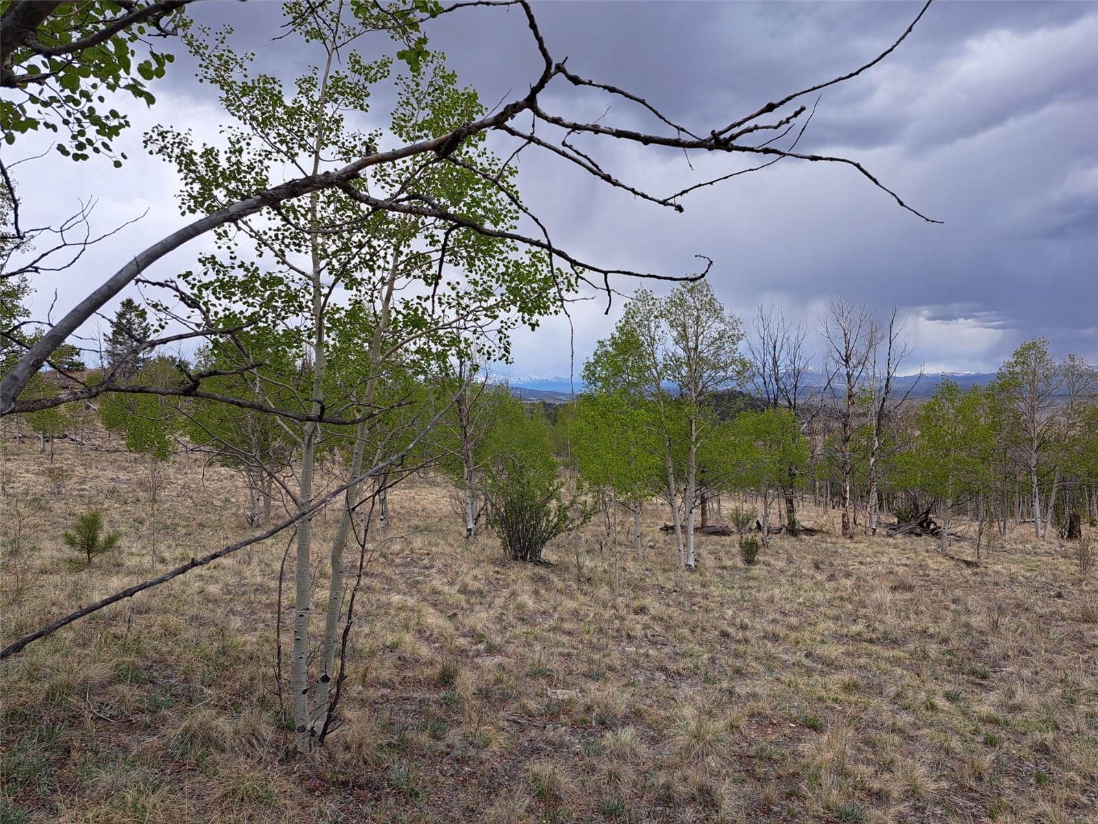 ` Dog Soldier Road Hartsel, CO 80449 - Photo 24 of 34 Gallery Image 24