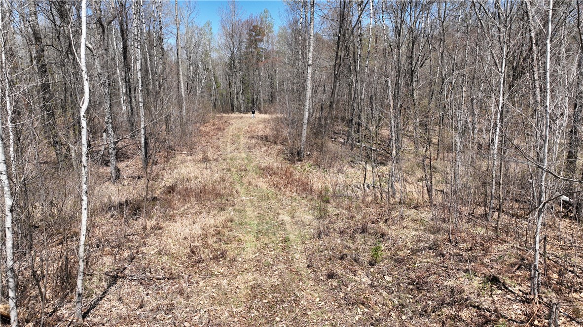 Xx East Beauregard Lake Road Solon Springs, WI 54873 - Photo 1 of 37