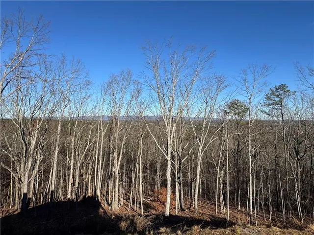 $739,000 | 171 Hawthorne Hill Road, Jasper, GA 30143