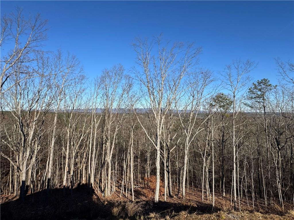 171 Hawthorne Hill Road Jasper, GA 30143 - Photo 11 of 51 a view of a backyard of the house