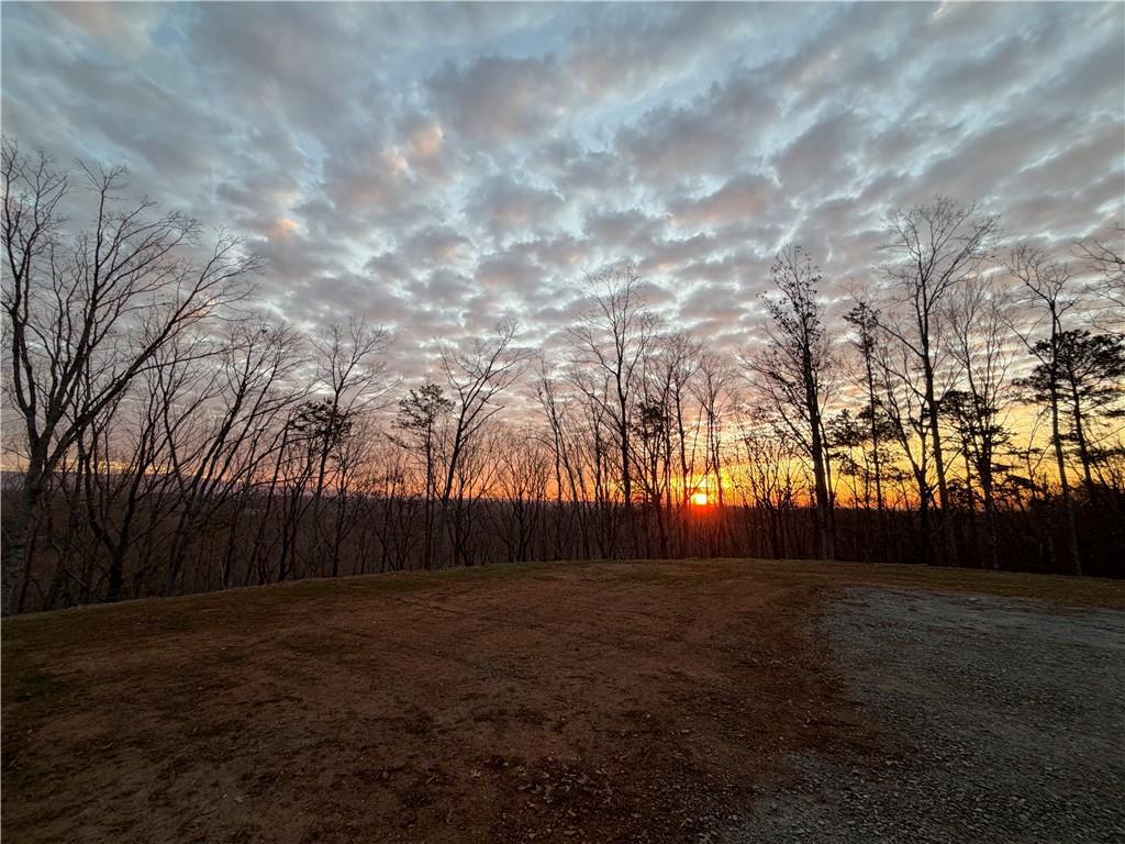 171 Hawthorne Hill Road Jasper, GA 30143 - Photo 50 of 51 a night view of yard