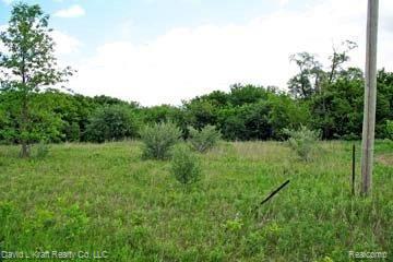 2660 North McMillan Road Bad Axe, MI 48413 - Photo 4 of 4 2660McMillan1.jpg