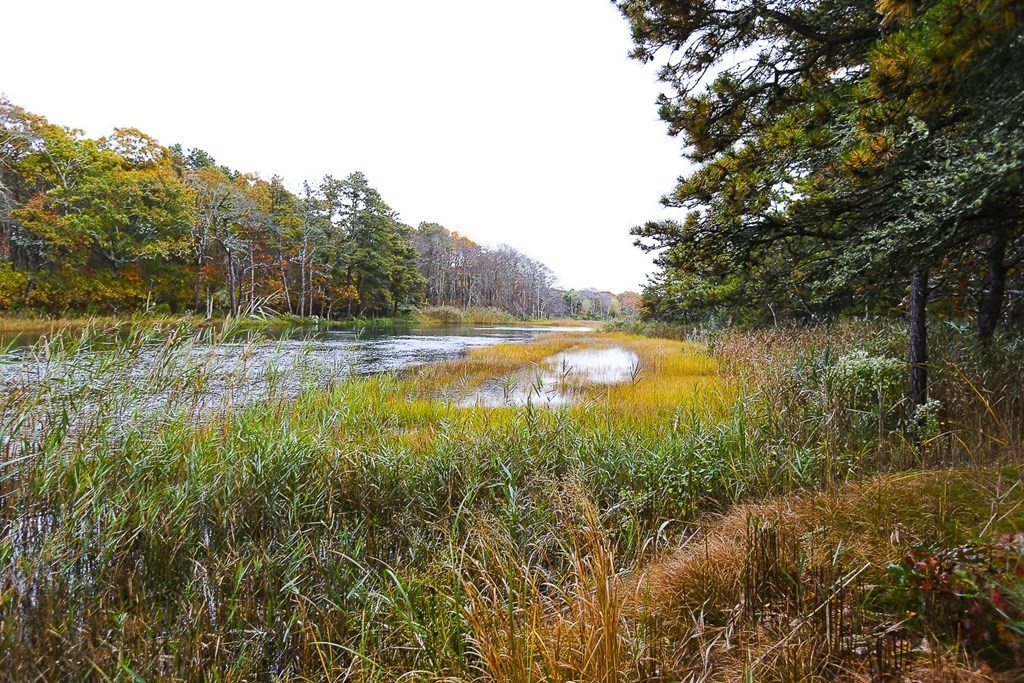 1 Labrador Road West Dennis, MA 02670 - Photo 2 of 29 Gallery Image 2