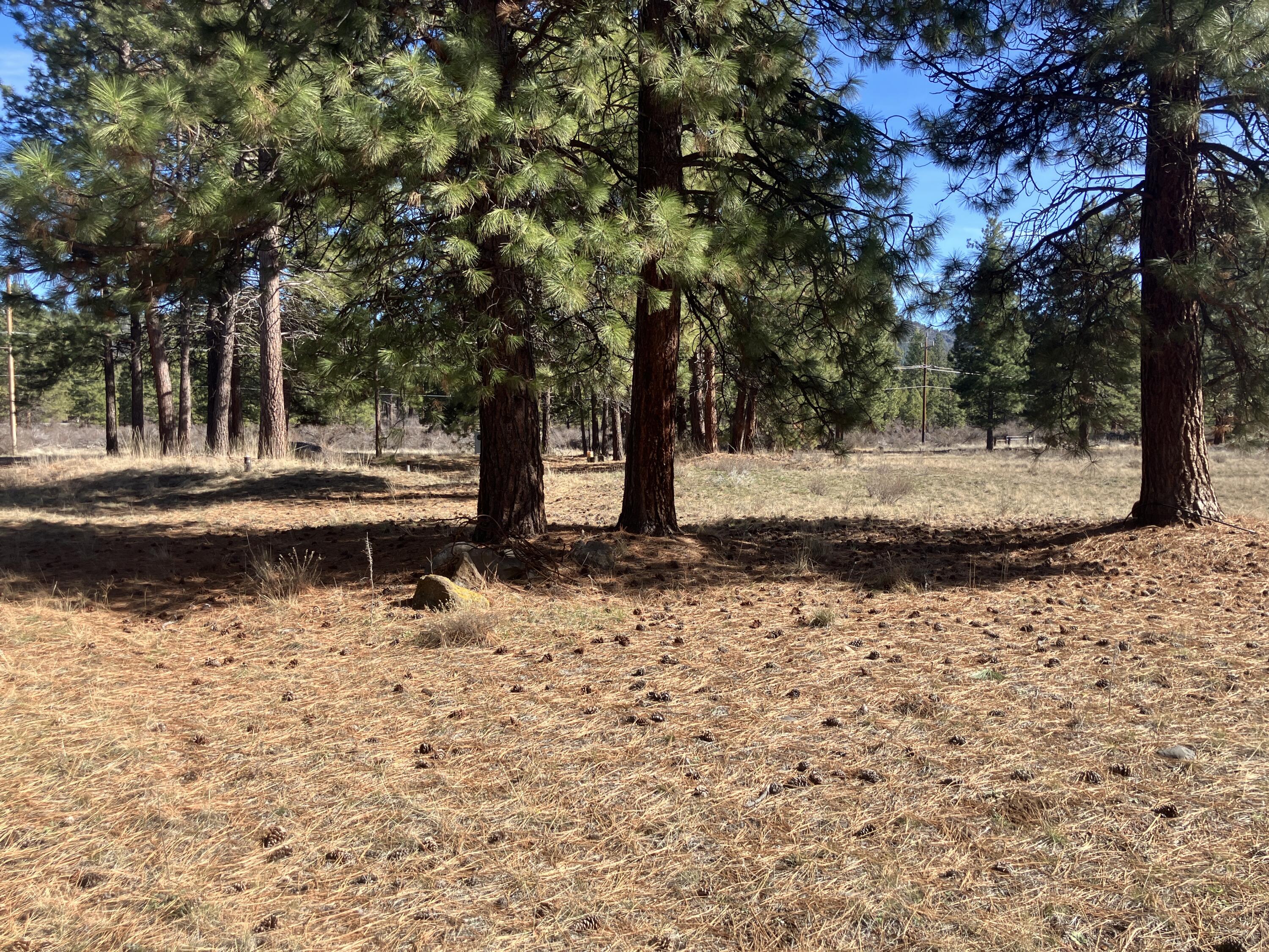 0 Winema Peninsula Chiloquin, OR 97624 - Photo 1 of 15 a view of a yard with large trees