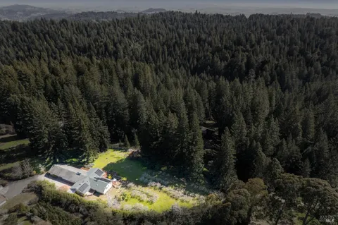 a living room with furniture cabinets and a potted plant