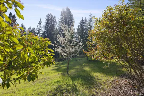 a living room with furniture a table and a chandelier