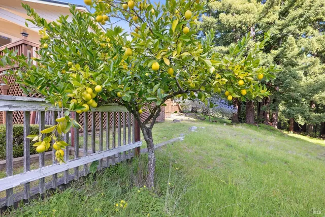 $1,595,000 | 3750 Deer Meadow Lane, Occidental, CA 95465