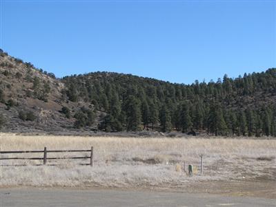 9774 Colfax Road Flagstaff, AZ 86004 - Photo 54 of 54 Additional Photo