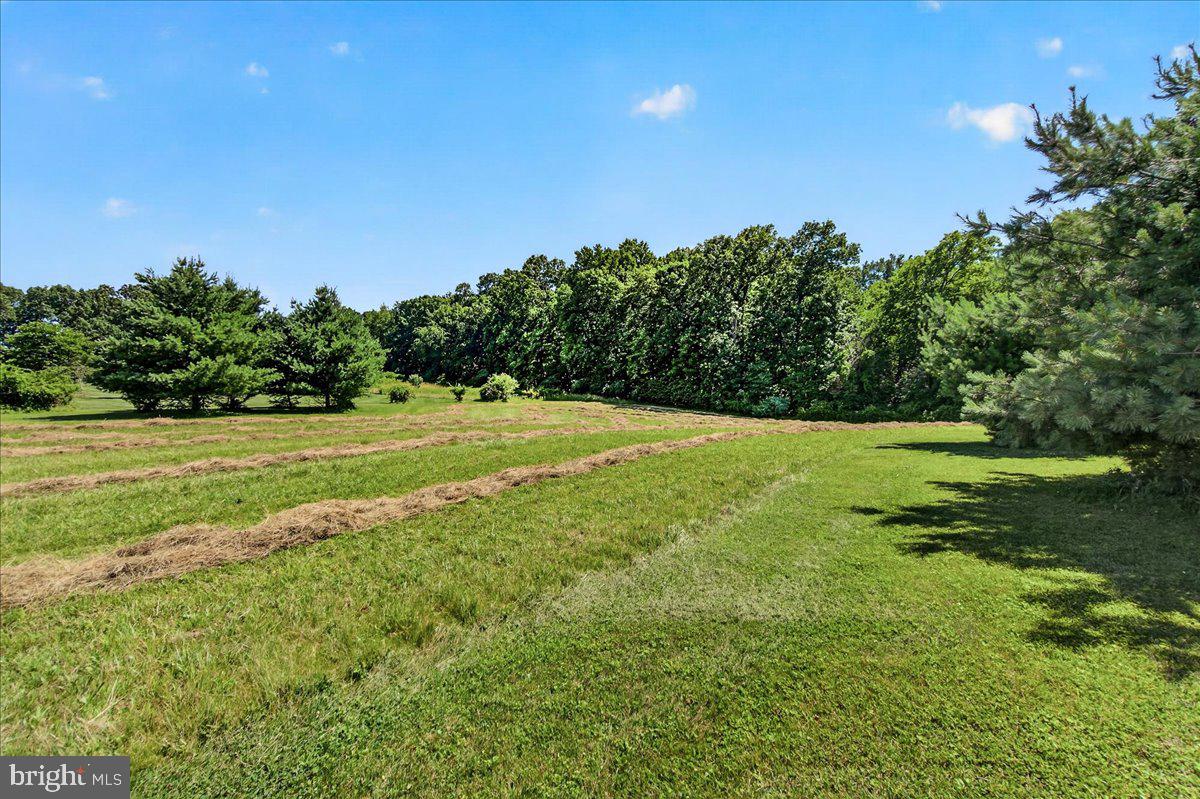3160 Sumantown Road Middletown, MD 21769 - Photo 123 of 147