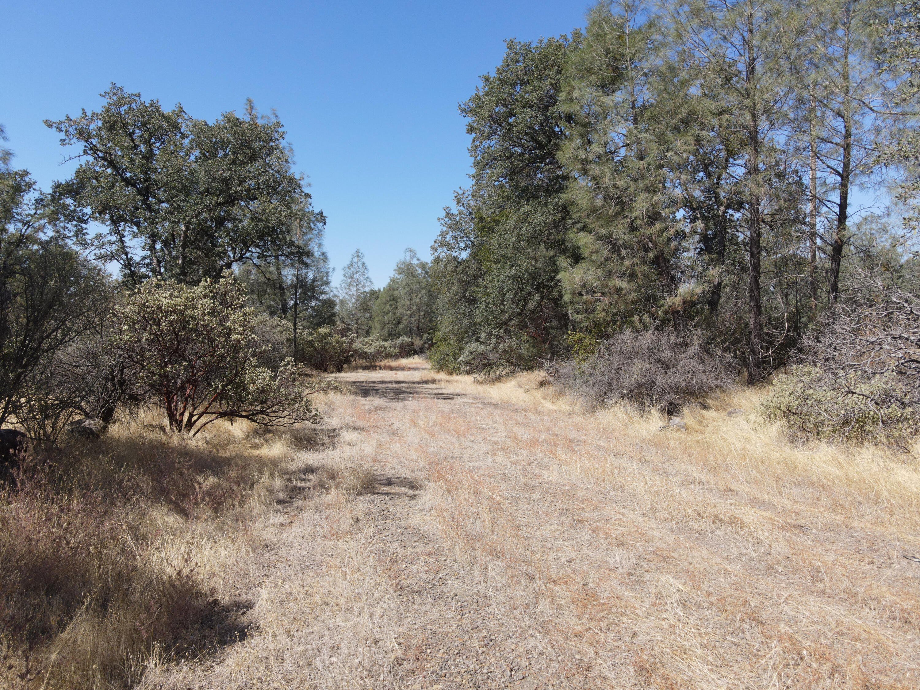 Nsa Dersch Road Shingletown, CA 96088 - Photo 6 of 56 DJI_0569_result