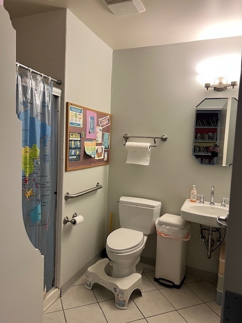 719 South State Street Chicago, IL 60605 - Photo 12 of 34 a bathroom with a toilet a sink and a mirror