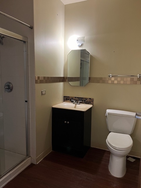 719 South State Street Chicago, IL 60605 - Photo 27 of 34 a bathroom with a sink toilet and mirror