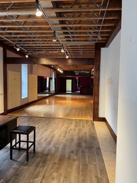 719 South State Street Chicago, IL 60605 - Photo 3 of 34 a view of an empty room with wooden floor