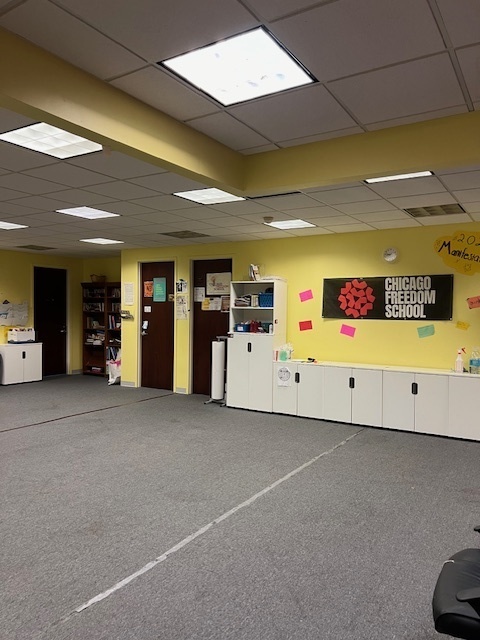 719 South State Street Chicago, IL 60605 - Photo 7 of 34