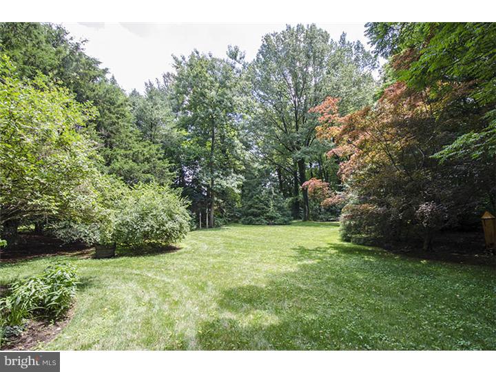 825 Chauncey Road Penn Valley, PA 19072 - Photo 23 of 25 Back Yard