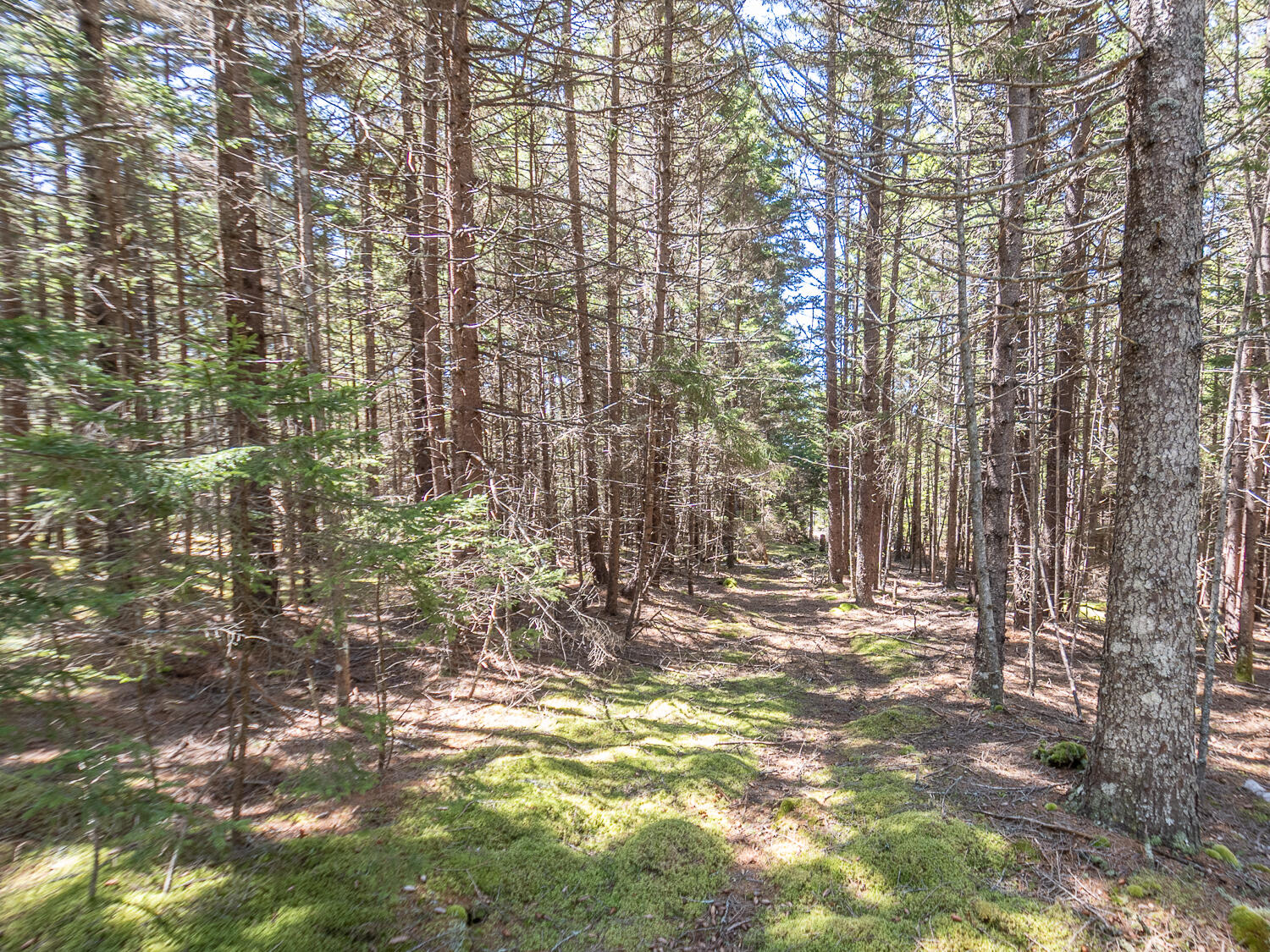 4 30 M/l North Road Swans Island, ME 04685 - Photo 2 of 9