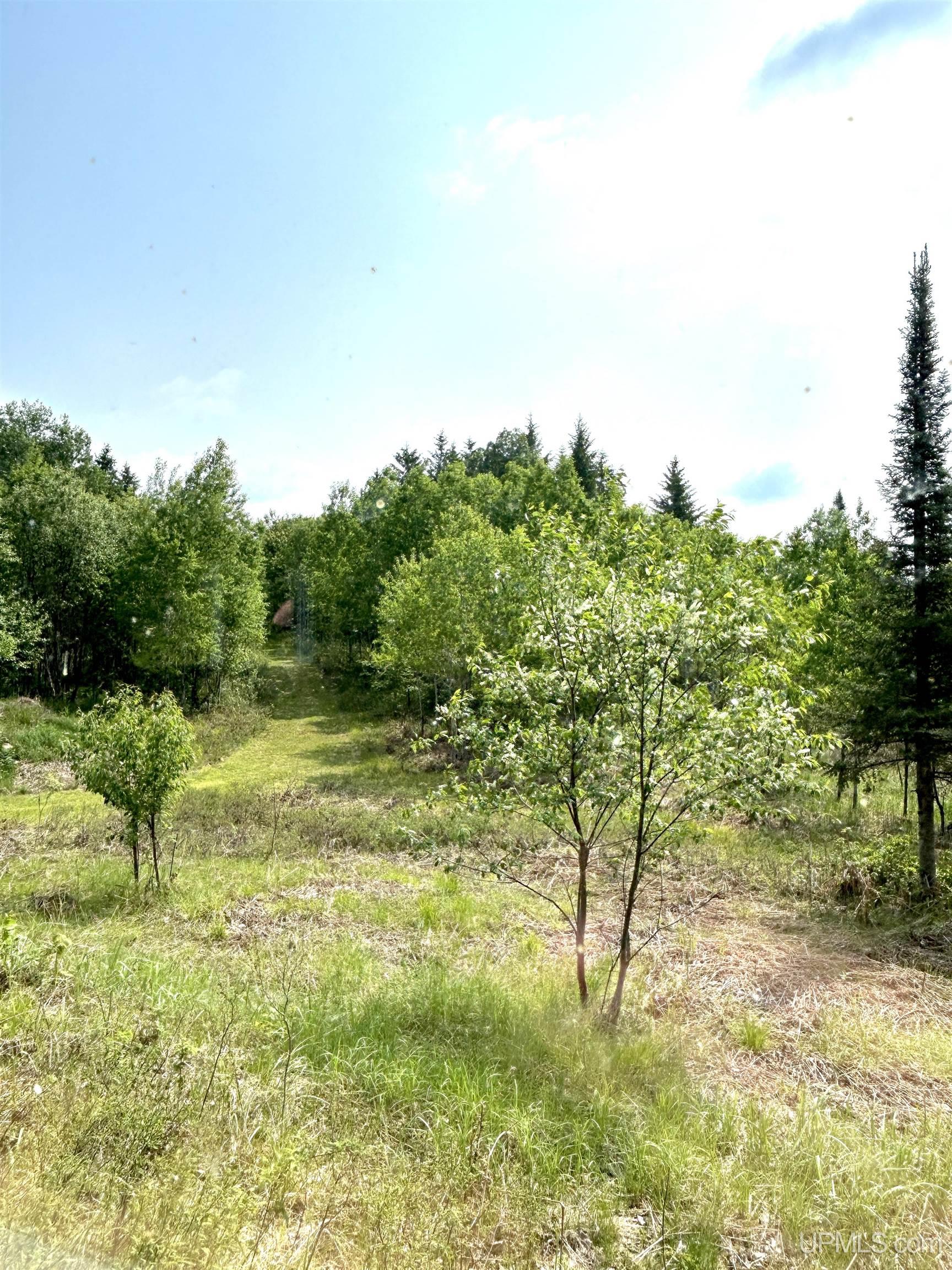 6072 Big Lick Lake Road Ishpeming, MI 49849 - Photo 58 of 90