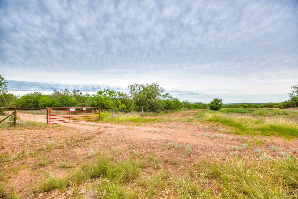 583 Cox Road Robert Lee, TX 76945 - Photo 7 of 73 Photo 7