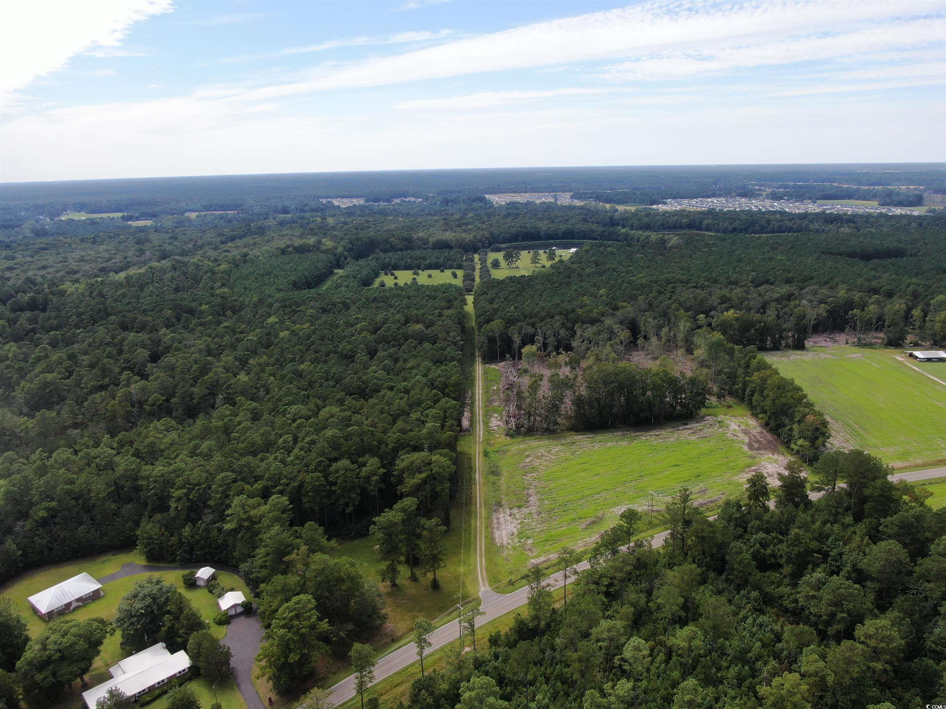 845 Old Buck Creek Road Longs, SC 29568 - Photo 2 of 24