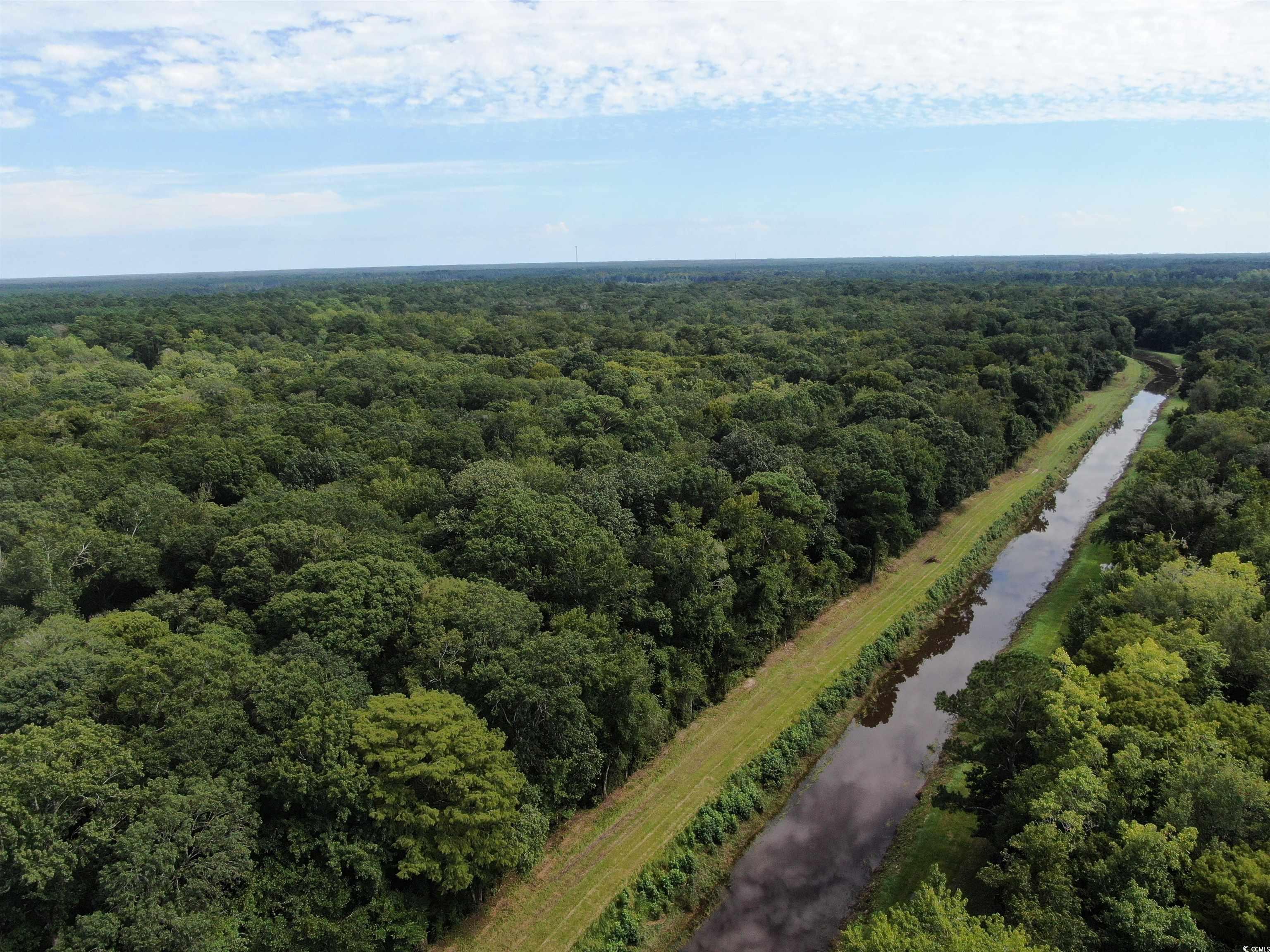 845 Old Buck Creek Road Longs, SC 29568 - Photo 3 of 24