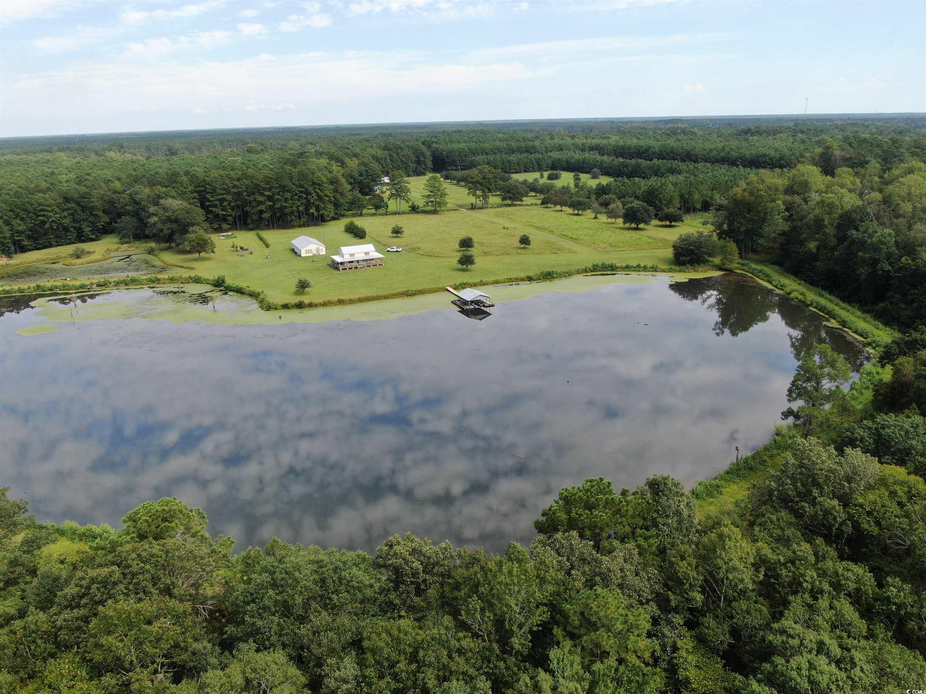 845 Old Buck Creek Road Longs, SC 29568 - Photo 4 of 24