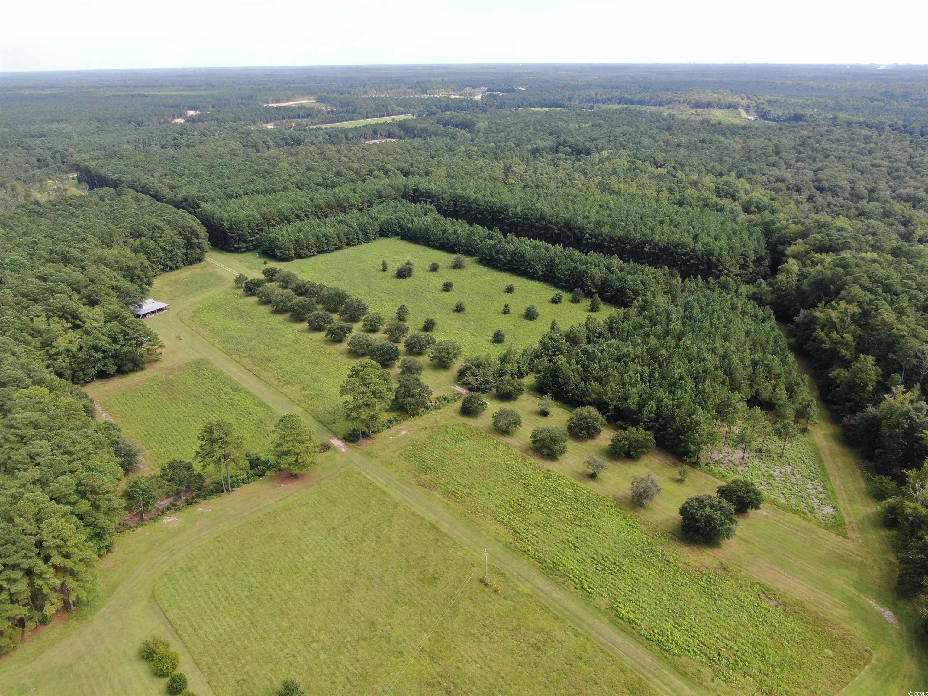 845 Old Buck Creek Road Longs, SC 29568 - Photo 5 of 24