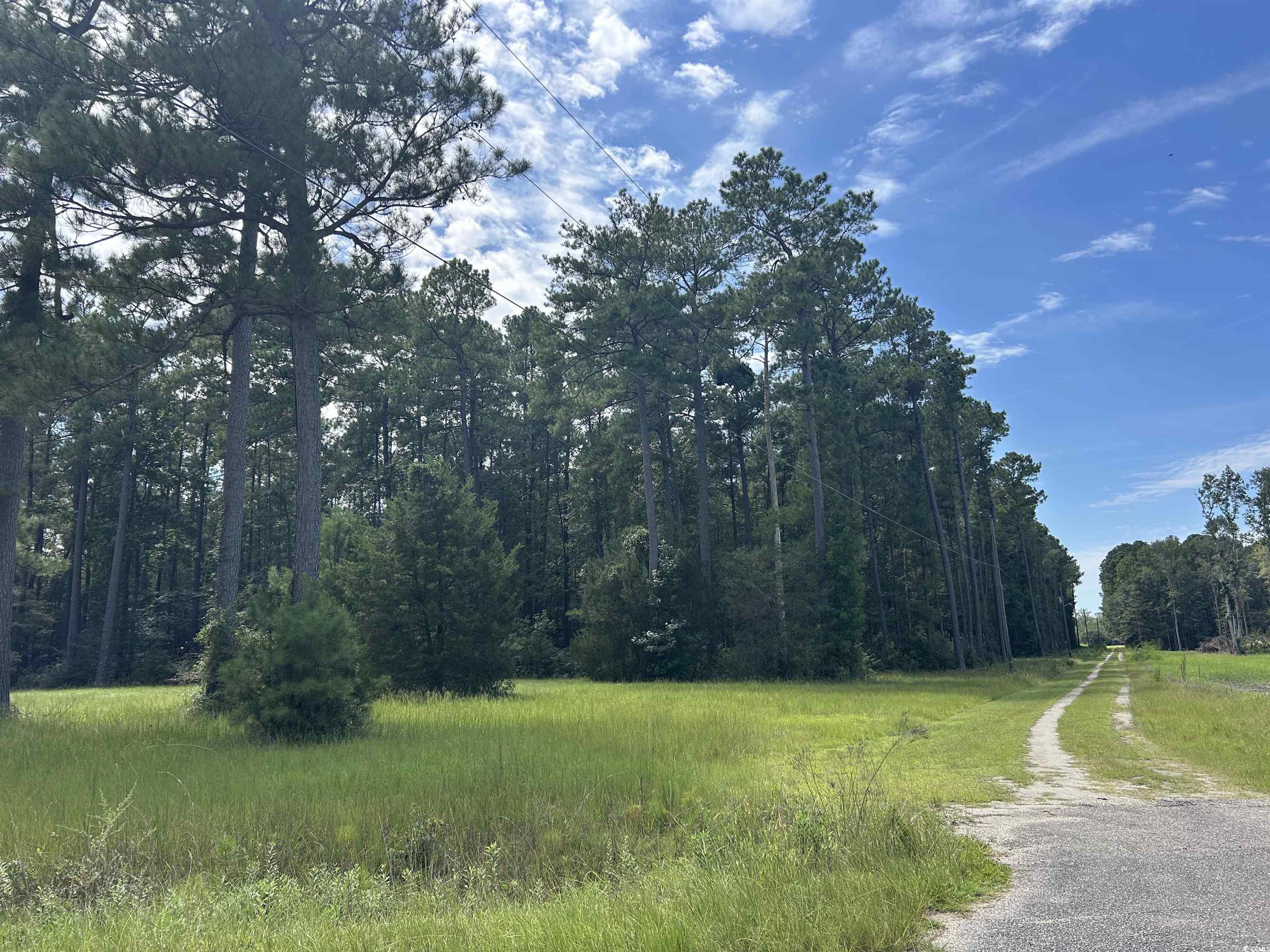 845 Old Buck Creek Road Longs, SC 29568 - Photo 7 of 24