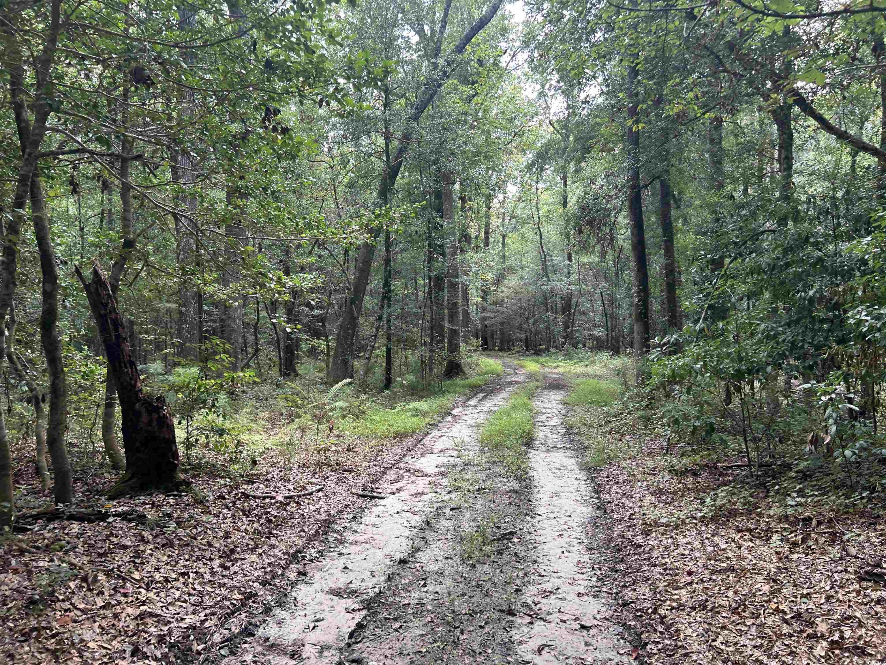 845 Old Buck Creek Road Longs, SC 29568 - Photo 10 of 24