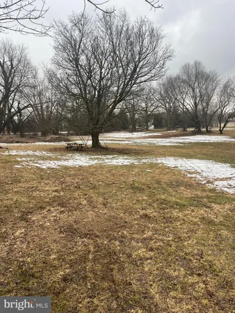a yard with a trees