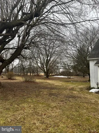 a view of a field with large trees