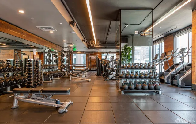 a outdoor space with the couches and a potted plant