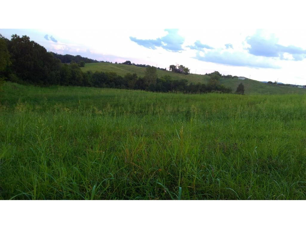 0 Jarrell Road Mohawk, TN 37810 - Photo 2 of 2 20191008052418868754000000-o