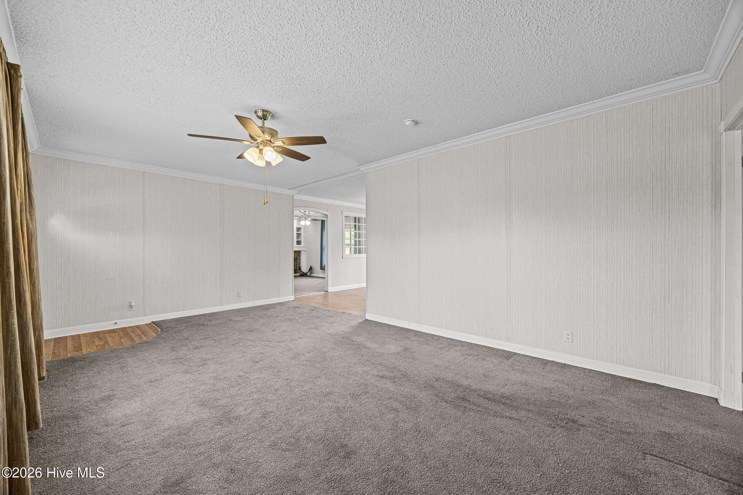 2041 Bay Road Willard, NC 28478 - Photo 8 of 29 8_living room