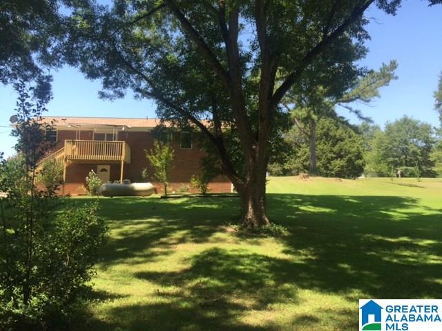 144 Highway 19 Montevallo Al Montevallo, AL 35115 - Photo 4 of 24