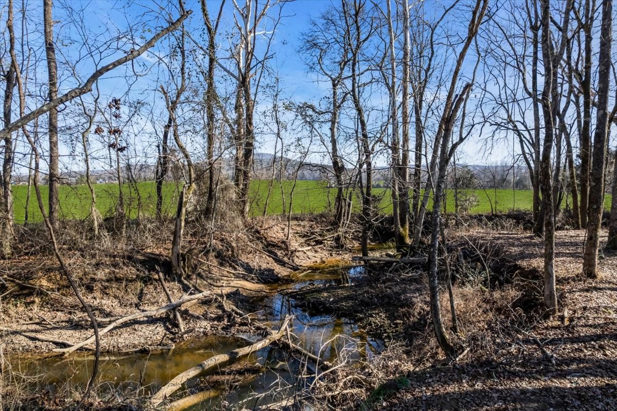 251 Miller Road Hillsboro, TN 37342 - Photo 77 of 80
