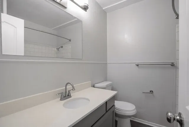 a bathroom with a sink toilet and vanity