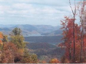 Lot 22 Of Heaton Branch Road, Unit 22 Butler, TN 37640 - Photo 1 of 1 Photo 1