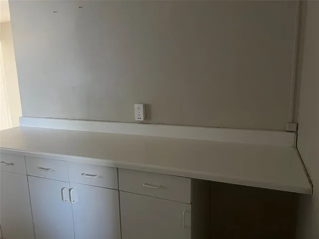 a kitchen with a sink and a potted plant