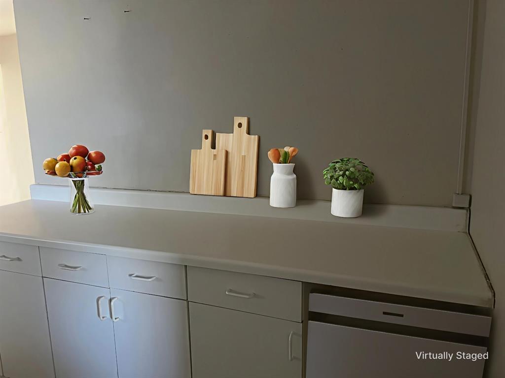 1721 Jocyle Street Arlington, TX 76010 - Photo 14 of 30 a kitchen with a sink and a potted plant
