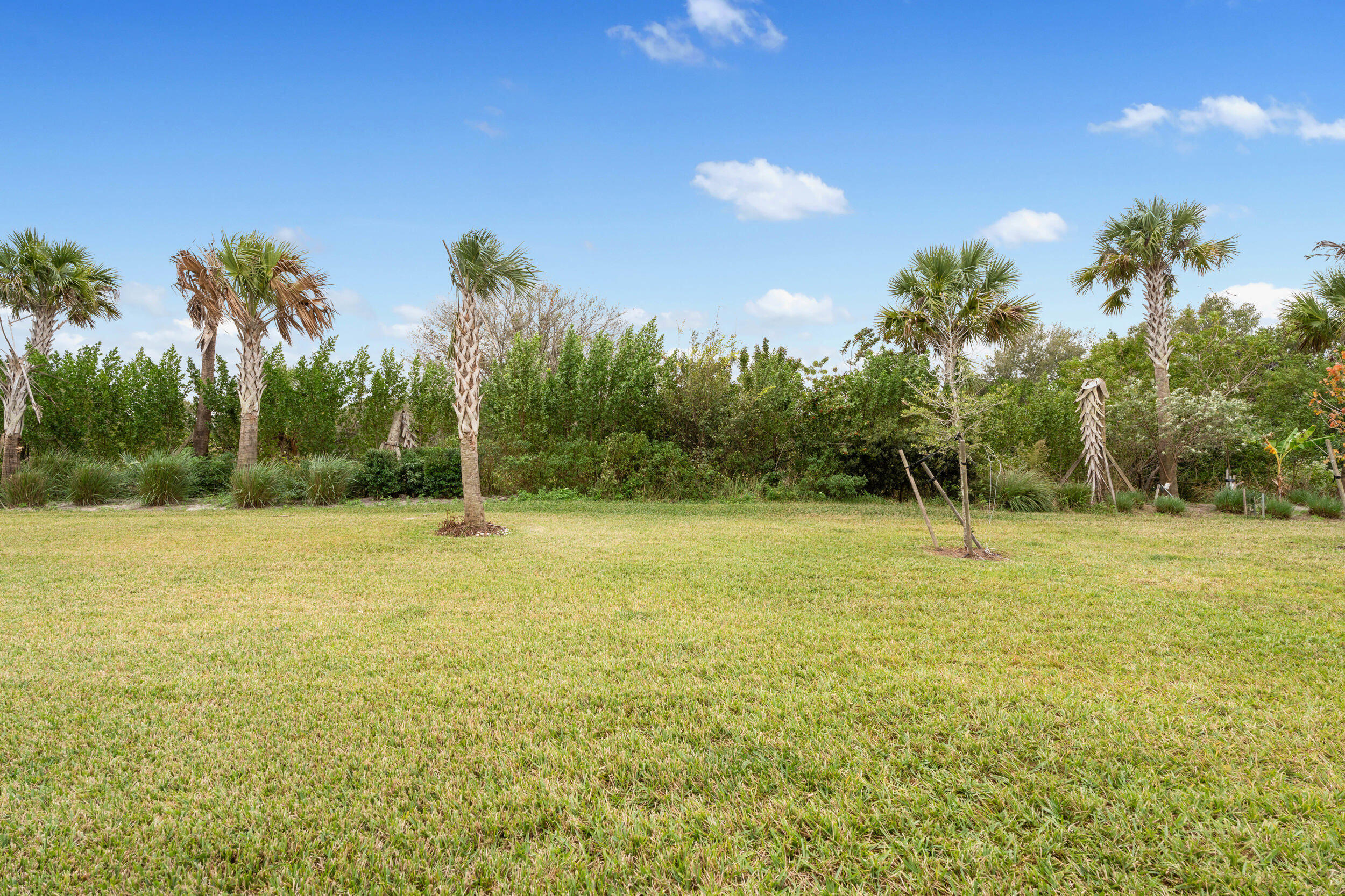 271 Raspberry Road Fort Pierce, FL 34981 - Photo 23 of 42 a view of a field with an trees