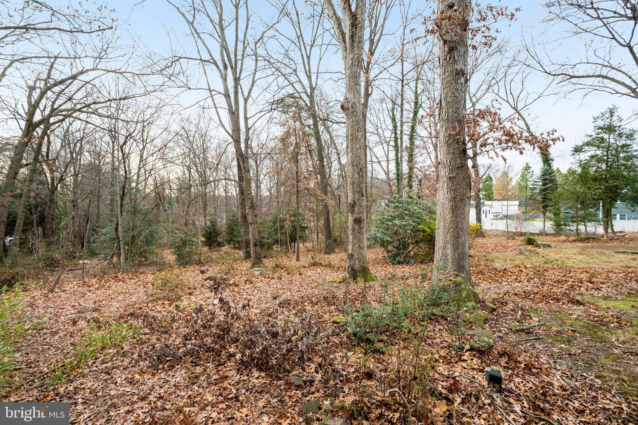 3456 Gallows Road Annandale, VA 22003 - Photo 6 of 14 Gallery Image 6