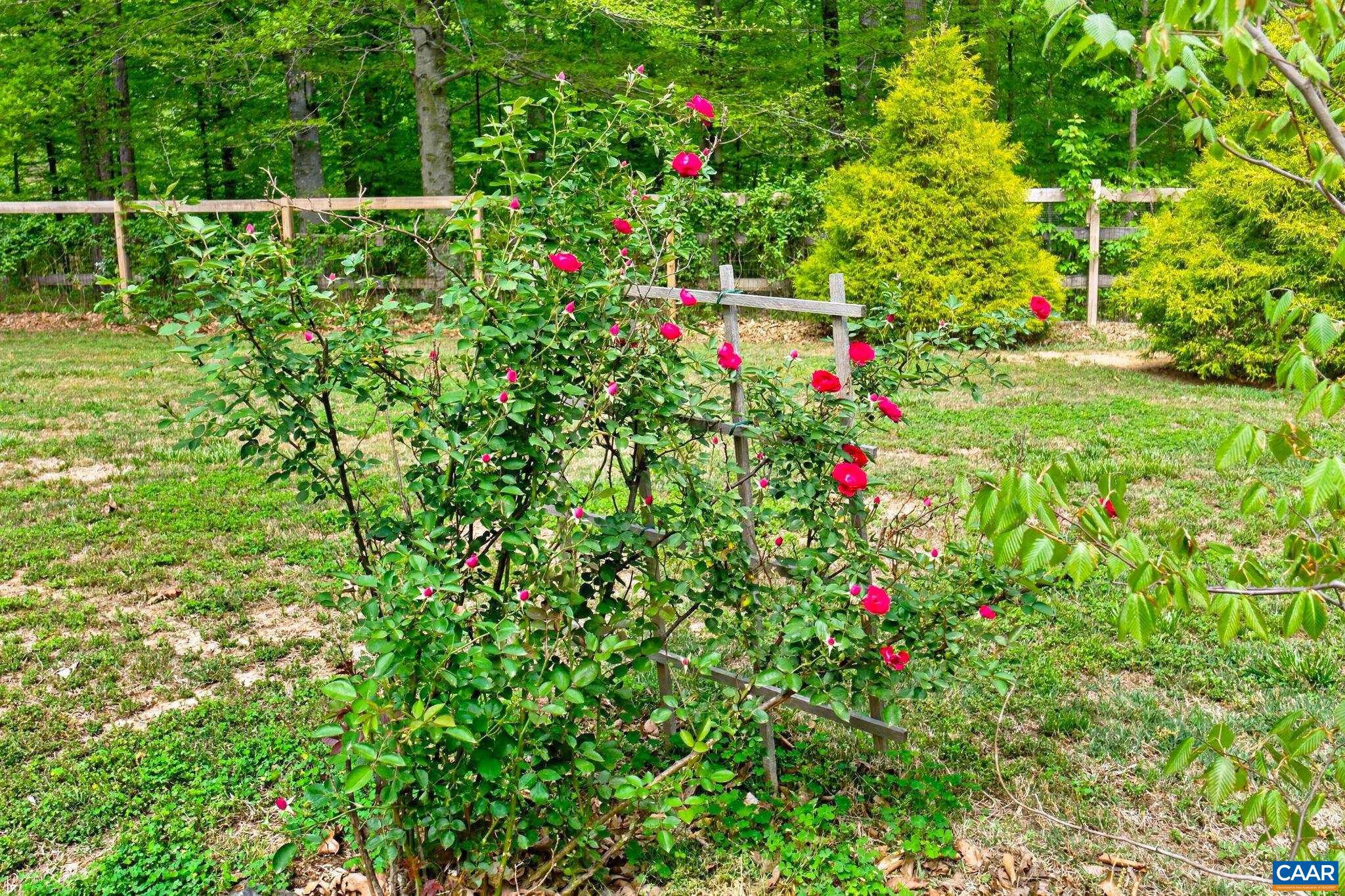 122 Mistie Ridge Lane Palmyra, VA 22963 - Photo 40 of 52