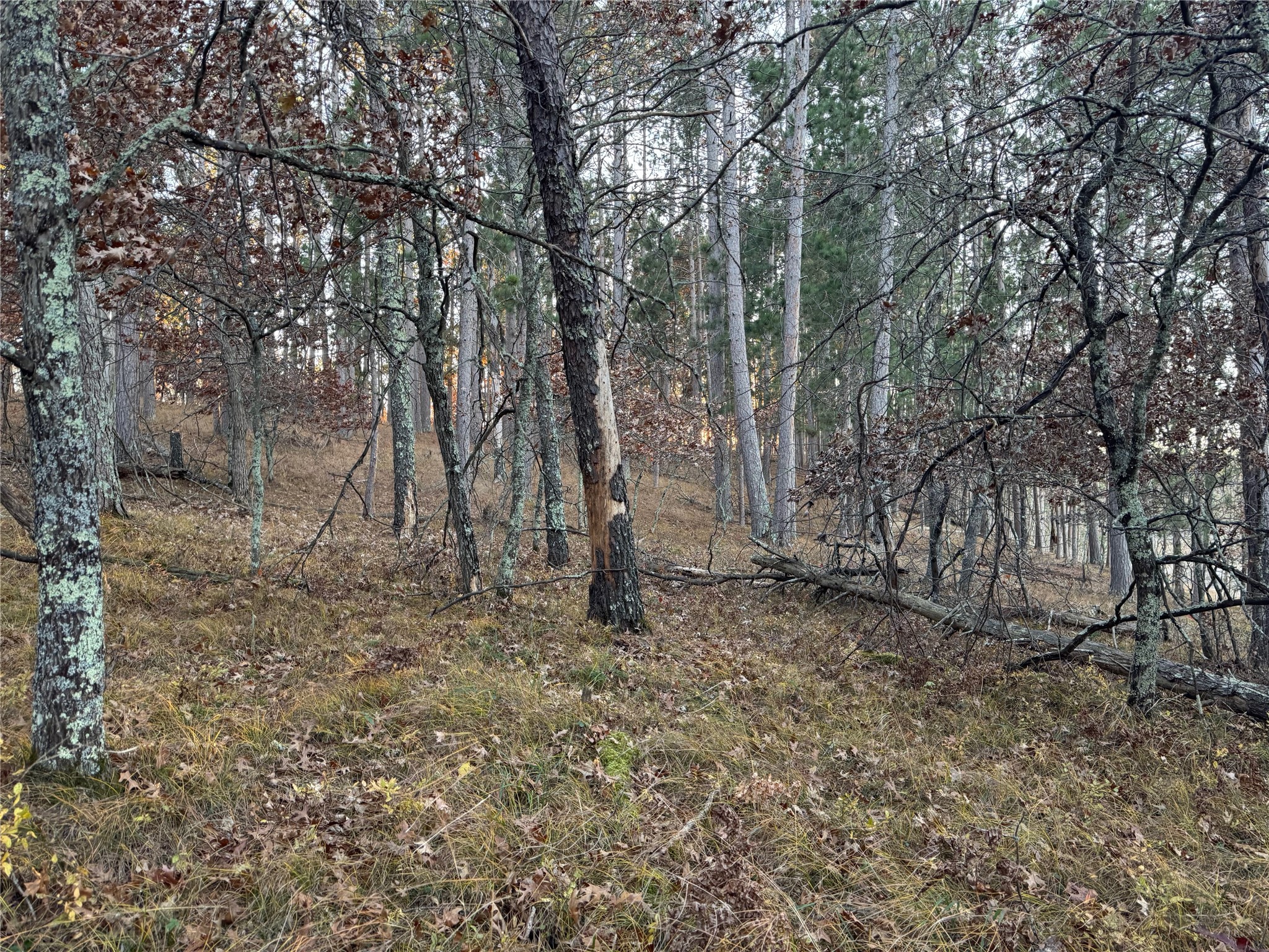 Lot 5 Big Sand Road Minong, WI 54859 - Photo 24 of 30