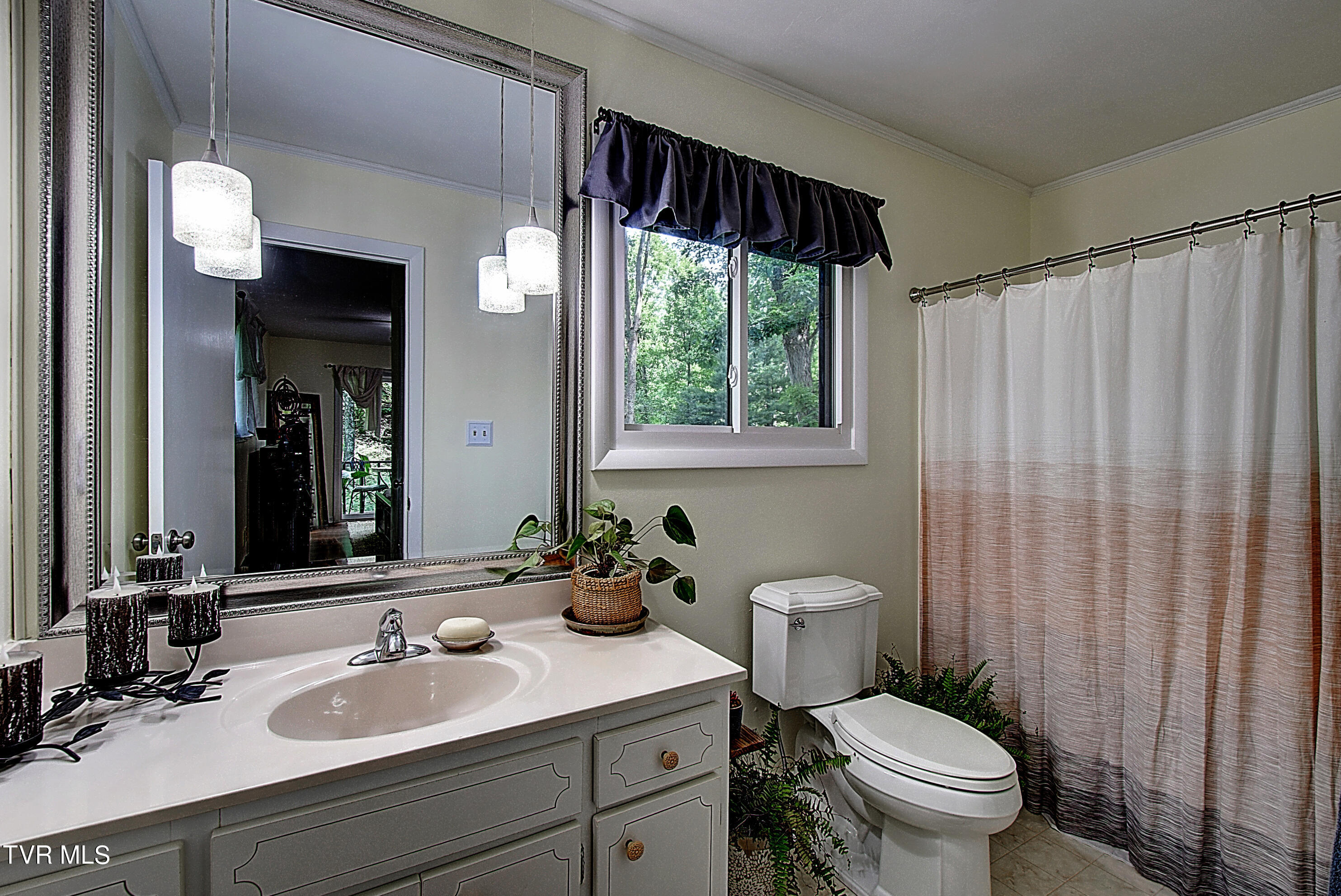 526 Jobe Road Elizabethton, TN 37643 - Photo 20 of 38 DSC_0301And8more