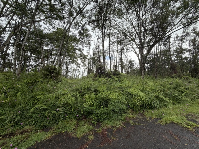 357 Puna Road Pahoa, HI 96778 - Photo 6 of 10