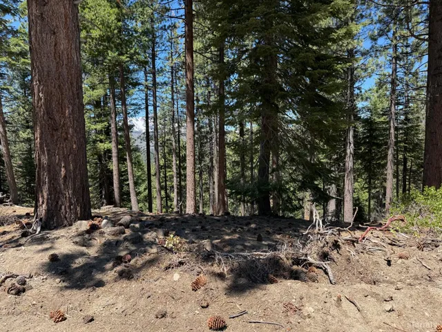 a view of outdoor space with trees