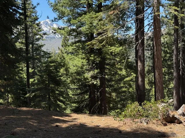 a view of a golf course with a yard
