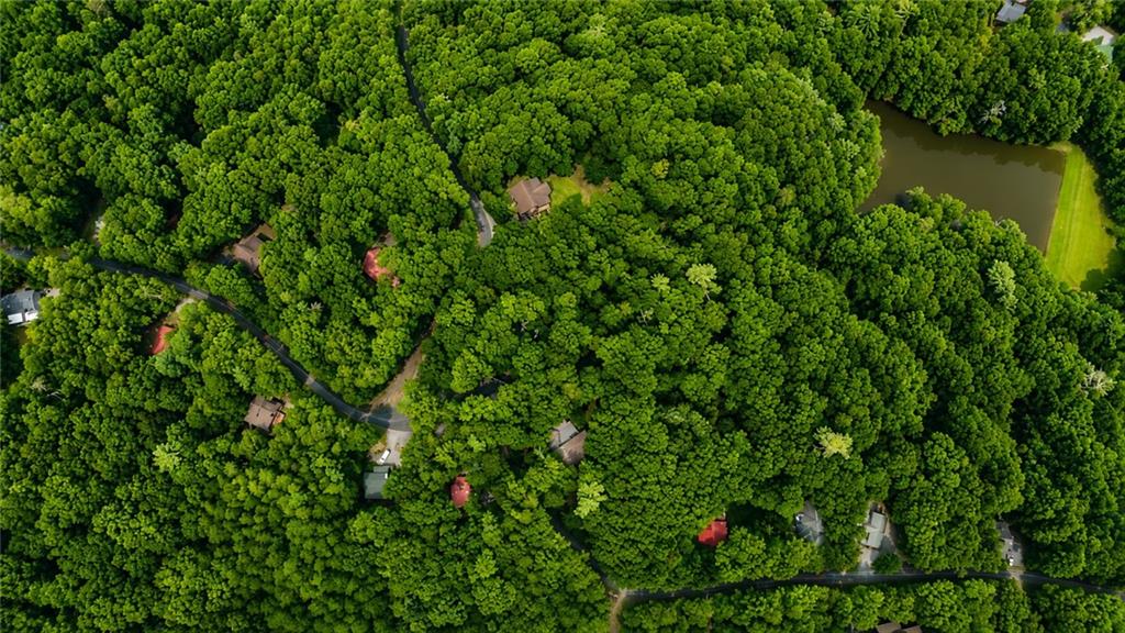 J208 Pine Ridge Road Ellijay, GA 30536 - Photo 15 of 18 Gallery Image 15