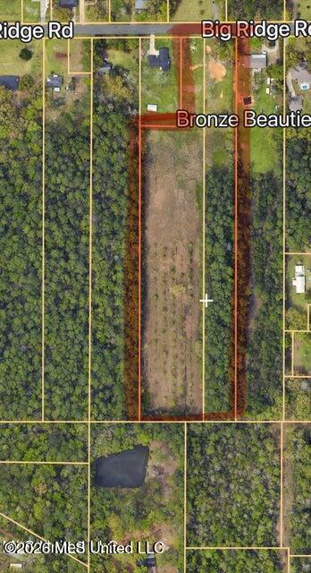 14209 Big Ridge Road Biloxi, MS 39532 - Photo 3 of 4 bigridge2