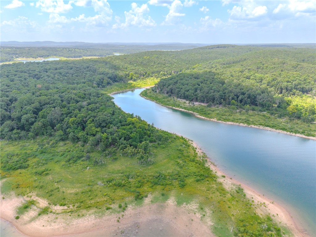 77 Timber Shoals Ranch Lead Hill, AR 72644 - Photo 28 of 29 Expansive water frontage with a verdant tree line